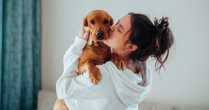 abrazando mascota